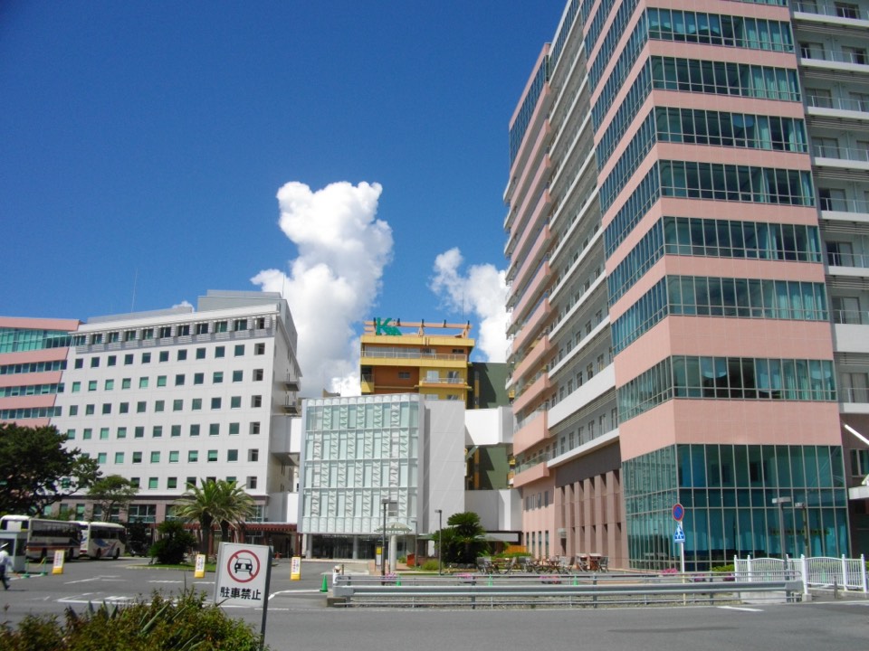 亀田総合病院 (千葉県鴨川市)